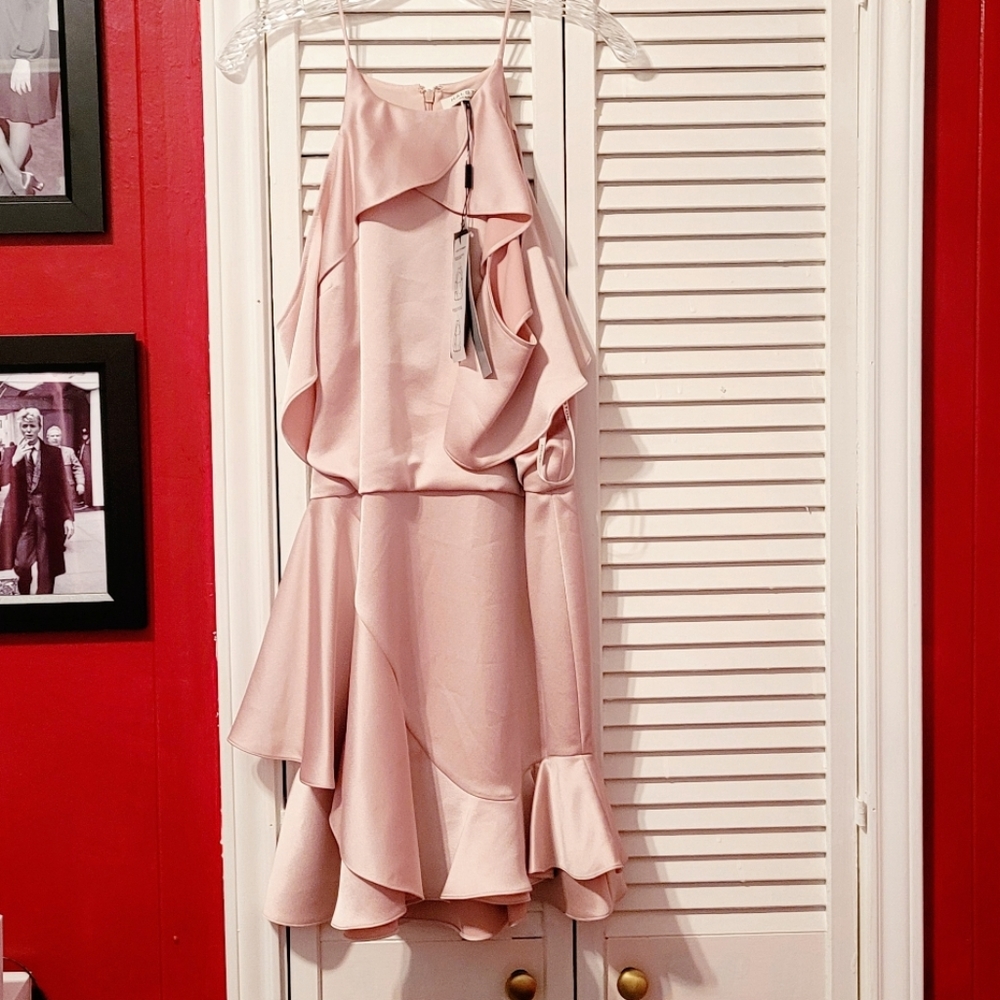 NWT!! Halston Heritage Evening Collection Pink Dress SZ 10